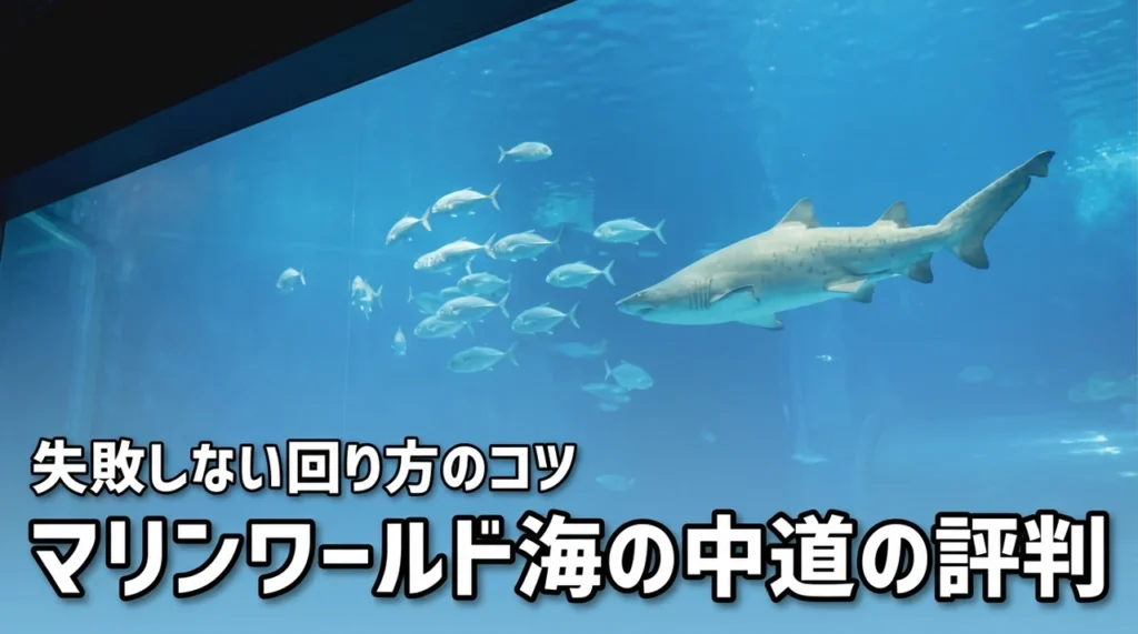 マリンワールド海の中道の評判は悪い？口コミから判明した失敗しない回り方のコツ