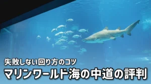 マリンワールド海の中道の評判は悪い？口コミから判明した失敗しない回り方のコツ
