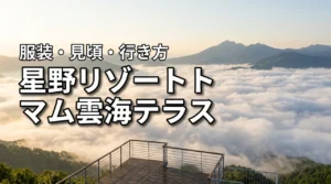 星野リゾートトマム雲海テラス完全ガイド!時間・服装・行き方・見頃を解説